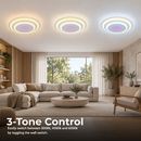 LL601RGB — 2. 3 Tone Control - LL601RGB.png