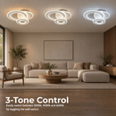 LL647-300R — 2. 3 Tone Control - LL647-300R.png