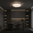 Plafonieră LED Stele 35 cm, 31W, 3000K / 4000K / 6000K, Alb, Metal si Acril