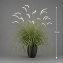 Planta Artificială Iarbă Ornamentală Tip Coadă de Vulpe, 120cm, Iarbă curbată și Spice, Verde si Alba, Fara Ghiveci