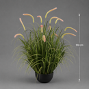 Planta Artificială Iarbă Ornamentală Tip Coadă de Pisicǎ, 90 cm, 13 tulpini, Iarbă curbată și Spice, Verde, Fara Ghiveci