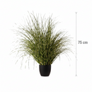 Aranjament Floral, 75 cm, Iarbă cu Frunze Vărgate, Plastic, Verde