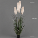 Planta Artificială Iarbă Ornamentală, 200 cm, cu 4 fire, Stuf si Iarba, Verde si Gri, Fara Ghiveci