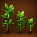 Decorațiune Dieffenbachia, Plastic, 150 cm, Verde