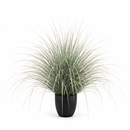 Planta Artificială Iarbă Ornamentală Tip Fântână, 110cm, Verde si Alb, Fara Ghiveci