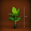 Decorațiune Dieffenbachia, Plastic, 100 cm, Verde