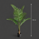 Decorațiune Howea Forsteriana, 160 cm, 7 frunze, Verde