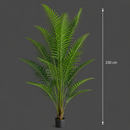 Decorațiune Howea Forsteriana, 230 cm, 18 frunze, Verde
