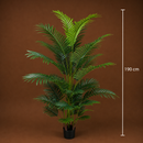 Decorațiune Palmier Kentia, 3 tulpini, Plastic, 17 frunze, 220 cm, Verde
