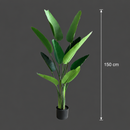 Decorațiune Strelitzia Nicolai, 150 cm, 10 frunze, Verde