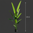 Decorațiune Strelitzia Nicolai, 220 cm, 13 frunze, Verde