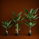 Decorațiune Strelitzia, Plastic, 100 cm, Verde