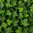 Ghirlandă Artificială din Iederă, 12 Ramuri x 36 Frunze, Verde