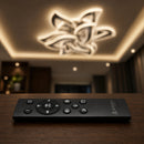 LT071_9 — LT071_9 - 2. REMOTE SHOW.jpg