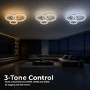 LT075_3 — LT075_3 - 4. 3-TONE CONTROL.jpg
