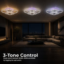 LT075_6 — LT075_6 - 4. 3-TONE CONTROL.jpg