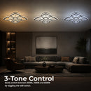 LT079_8 — LT079_8 - 4. 3-TONE CONTROL.jpg
