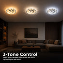 LT101 — LT101 - 4. 3-TONE CONTROL.jpg