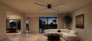 LT171_4BK - BANNER