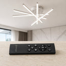 LT172_5WH - 2. REMOTE SHOW