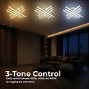 LT172_6WH — LT172_6WH - 4. 3-TONE CONTROL.jpg