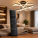 LT179-5BK - 2. REMOTE SHOW