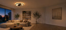 LT219BK - BANNER