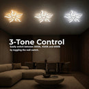 LT620_5WH — LT620_5WH - 4. 3-TONE CONTROL.jpg