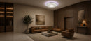 LT651_300 — LT651_300 - BANNER.jpg