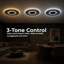 LT656BK — LT656BK - 4. 3-TONE CONTROL.jpg