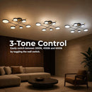 LT721_6GD — LT721_6GD - 4. 3-TONE CONTROL.jpg
