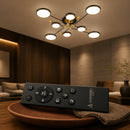 LT721_8GD - REMOTE SHOW