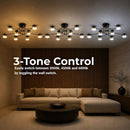LT724_8 — LT724_8 - 4. 3-TONE CONTROL.jpg