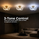 LT770_500GD — LT770_500GD - 4. 3-TONE CONTROL.jpg