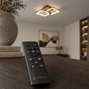 LT808_2BK — LT808_2BK - 2. REMOTE SHOW.jpg