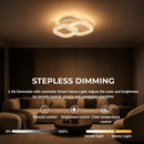 LT863_2WH — LT863_2WH - 3. STEPLESS DIMMING.jpg