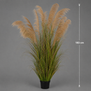 Planta Artificială Iarbă Ornamentală, 183cm, cu 13 fire, Stuf si Iarba, Verde Tomnal, Fara Ghiveci