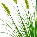 Planta Artificiala Iarba Ornamentala Tip Coada Vulpii, 60 cm, cu 7 Spice, Verde, Fara Ghiveci