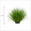 Tufă Artificială de Iarbă, 38 cm, Iarbă Tip Ceapă Curbată, Densitate Medie, Plastic, Verde