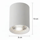 Proiector LED TINNIE, Fix, 8W, Lumina Neutra 4000K, Alb