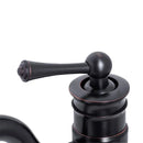 Baterie Lavoar, Alama Sanitara, Negru, WZY/318