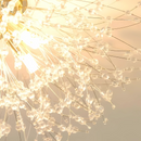 Candelabru Cristal RONDO Vivace, 8x G9, Diametru 60cm, Auriu Lucios