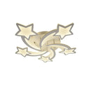 Lustra LED cu telecomanda IPOMOEA 69W, 5 Stele, lumina Rece/Calda/Neutra, Dimabila, Alb