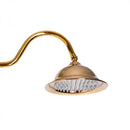 Coloana Dus, Alama Sanitara, Auriu, WZY/310/B