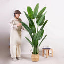 Planta Artificiala Pasarea Paradisului (Strelitzia Nicolai), 11 Frunze, fara Ghiveci, 160cm Verde Plante Artificiale Interioare Default Title Alessandro Design