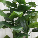 Planta Artificiala Banan japonez, 4 Crengi, fara Ghiveci 180cm Verde