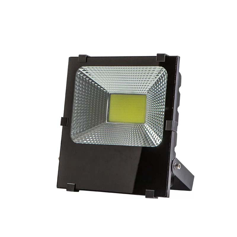 Proiector LED 20W, 6500K, IP.66  PRCOB20W/6500 - LEDS