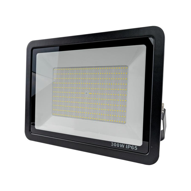 Proiector Led Fantas, 100W, 6500K - LEDS